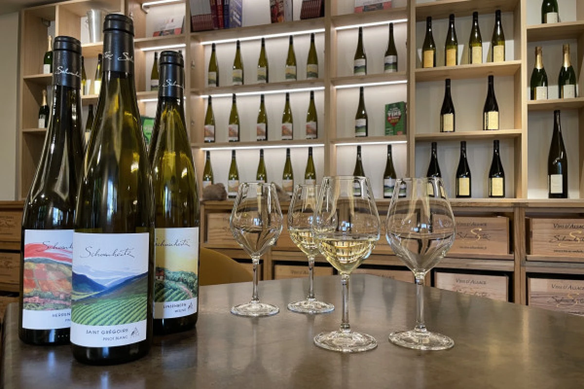 De la vigne au verre ! - Vignerons Indépendants