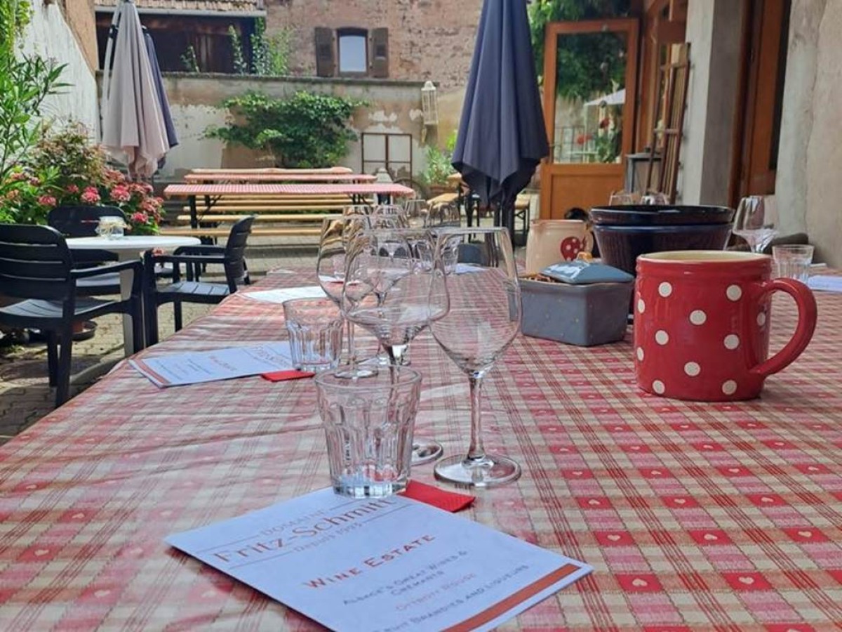 Découverte du Domaine - Vignerons Indépendants