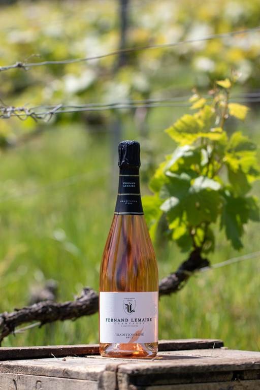 Dégustation commentée de 3 champagnes - Vignerons Indépendants