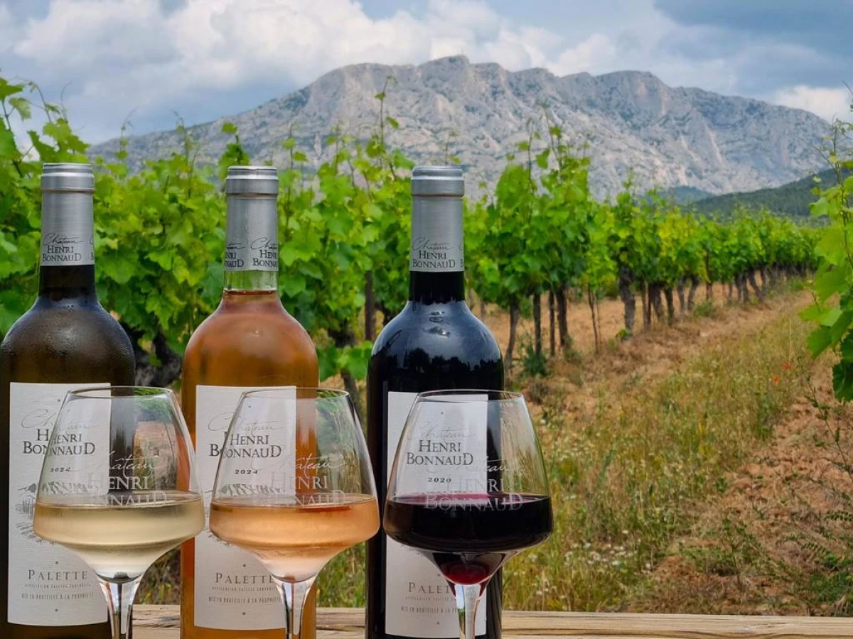 Dégustation dans les vignes - Vignerons Indépendants