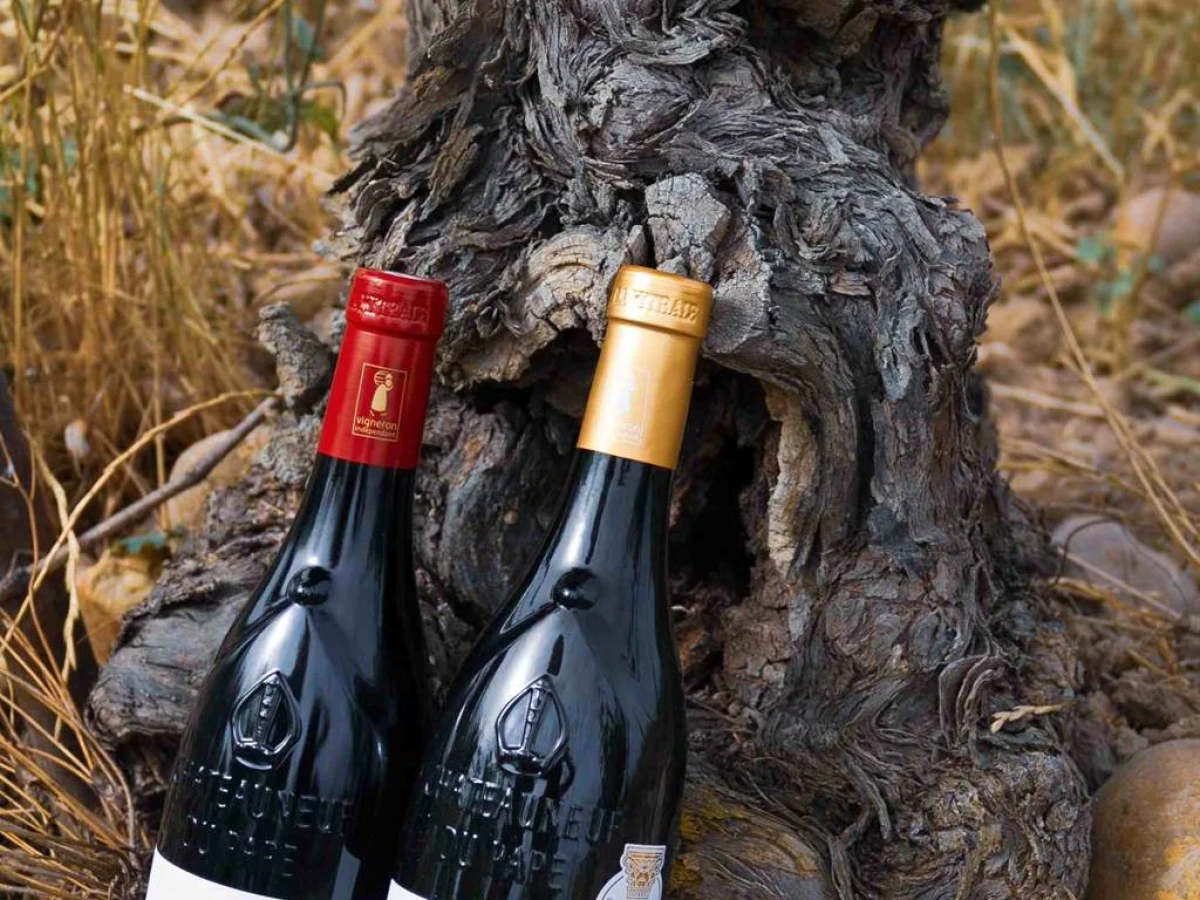 Dégustation de 45 min - Vignerons Indépendants