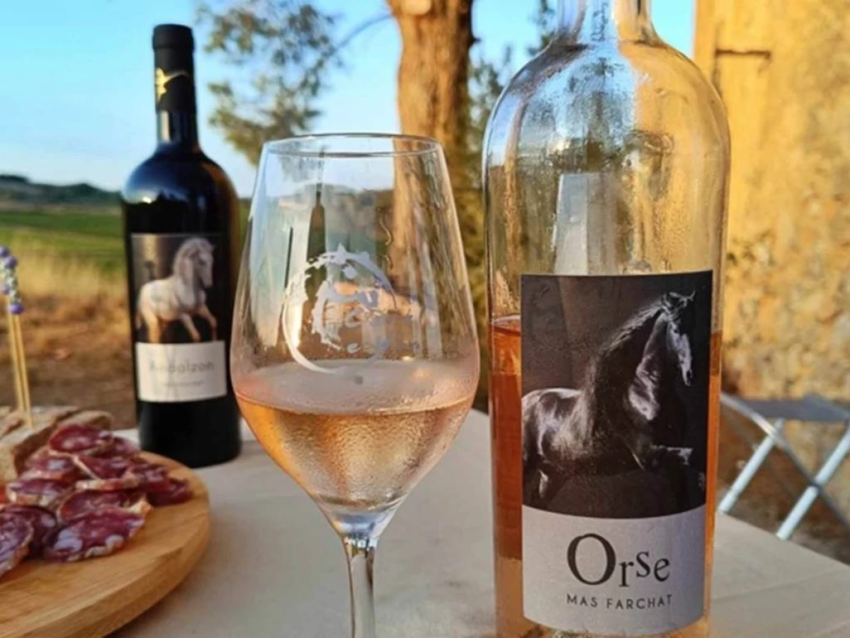 Dégustation de vin en pleine nature - Vignerons Indépendants