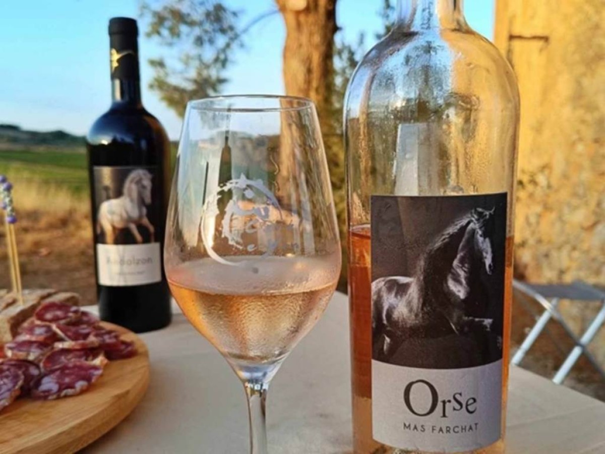 Dégustation de vin et de tapas en pleine nature - Vignerons Indépendants