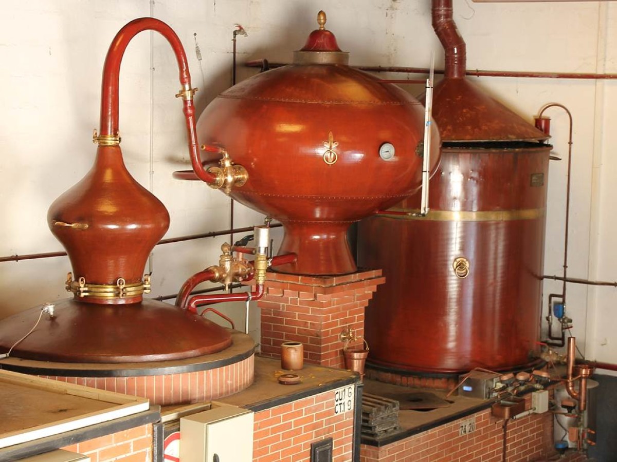 Dégustation découverte - Vignerons Indépendants