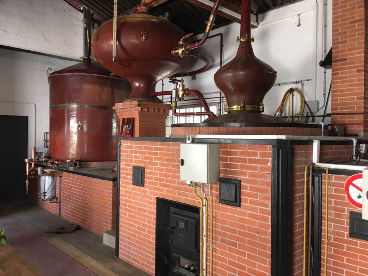 Dégustation découverte - Vignerons Indépendants