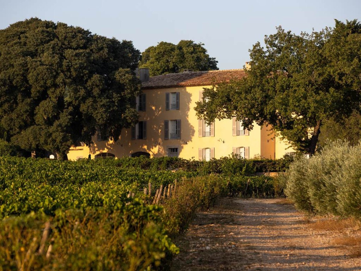 Dégustation et Délices à La Mascaronne - Vignerons Indépendants
