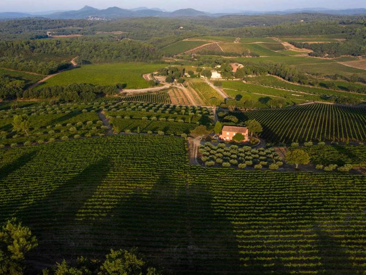 Dégustation et Délices à La Mascaronne - Vignerons Indépendants