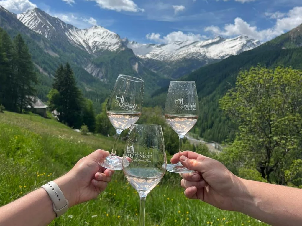 Dégustation sous hypnose légère - Vignerons Indépendants Dégustation sous hypnose légère - Vignerons Indépendants