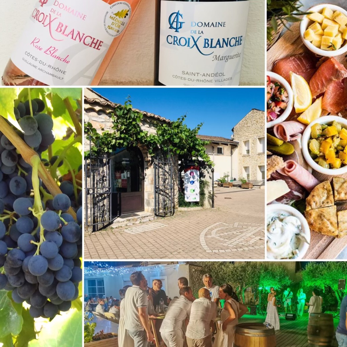 Dégustation : vins bio et saveurs ardéchoises - Vignerons Indépendants