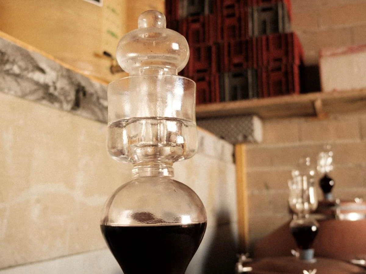Dégustation vins du domaine au chai à Céret - Vignerons Indépendants