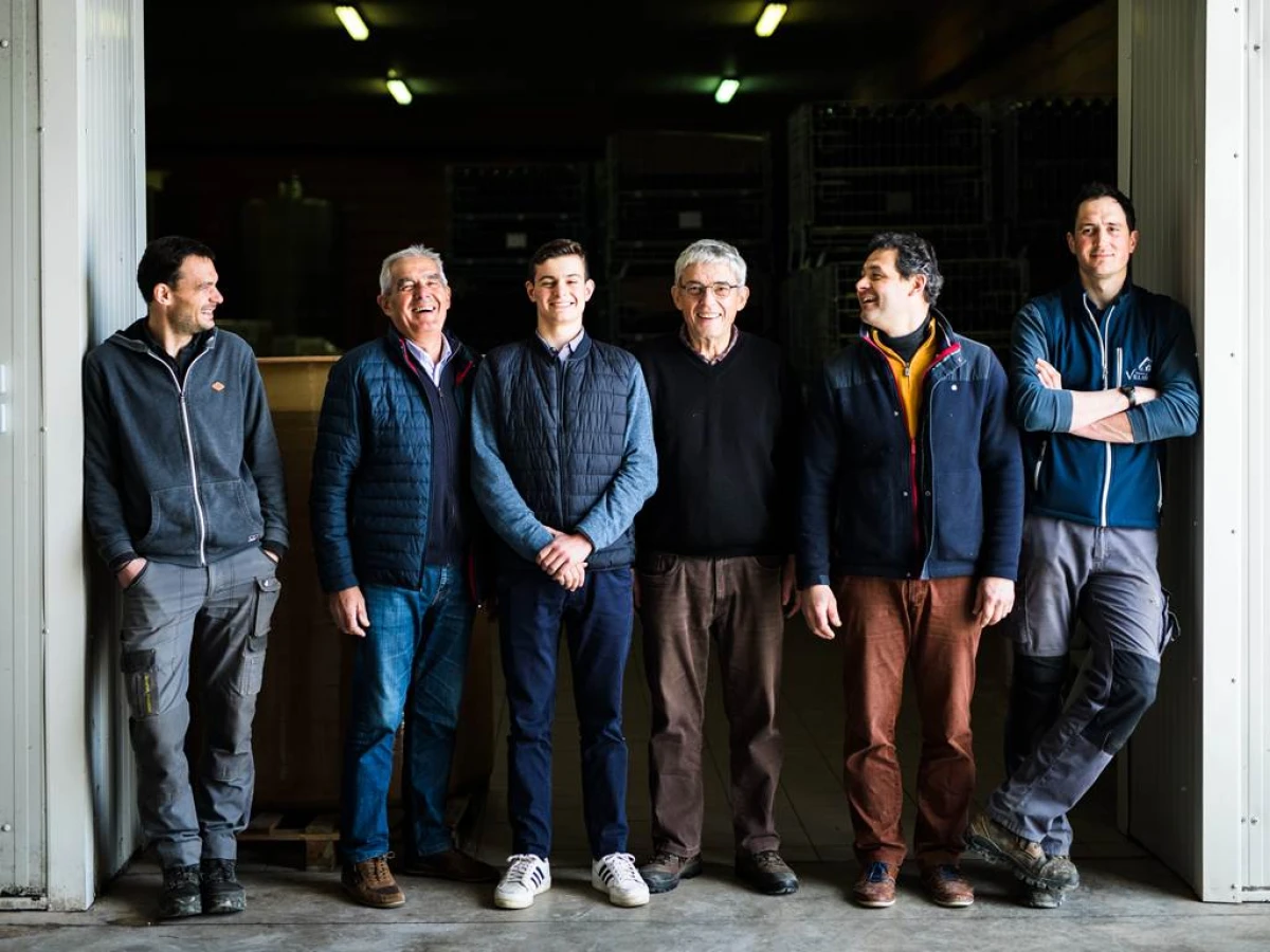 Dégustation - Vignerons Indépendants