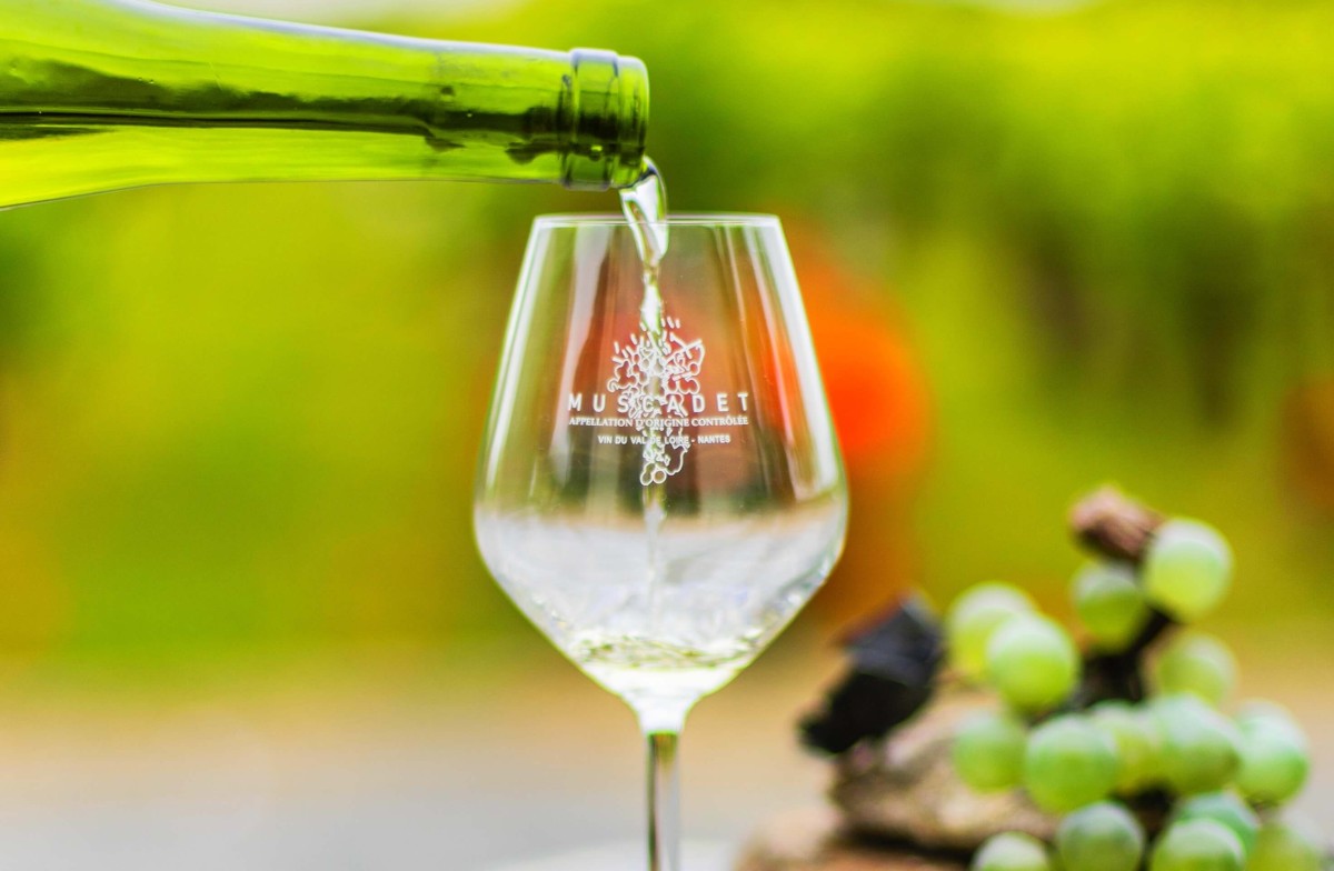 Dégustation découverte - Vignerons Indépendants