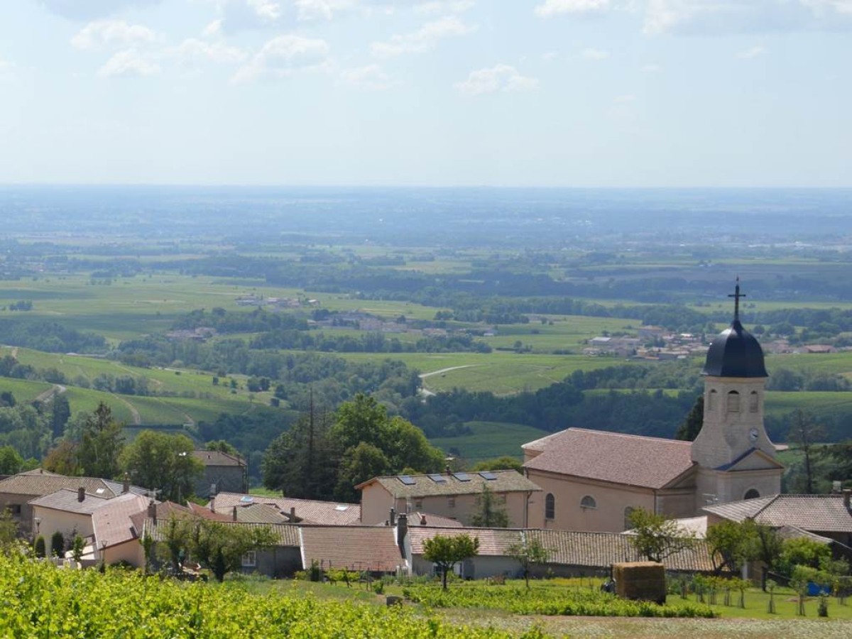 Domaine Christophe Savoye - Vignerons Indépendants