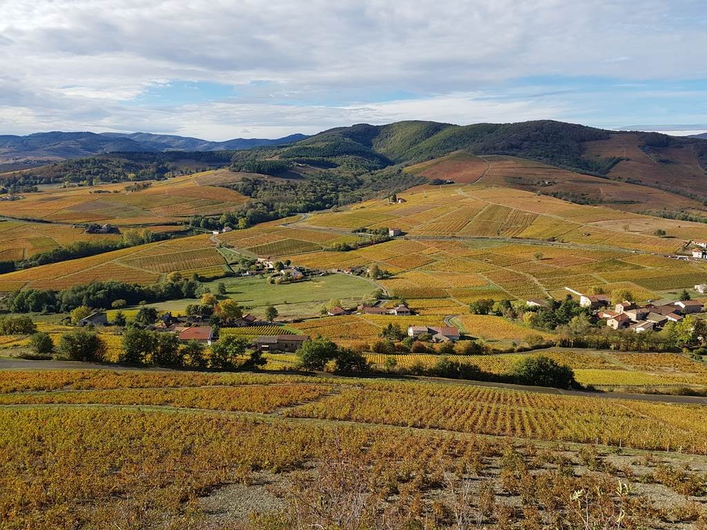 Domaine Christophe Savoye - Vignerons Indépendants