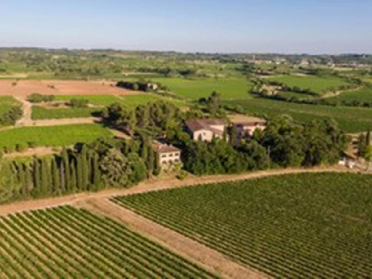 DOMAINE DE LA CONSEILLERE - Vignerons Indépendants
