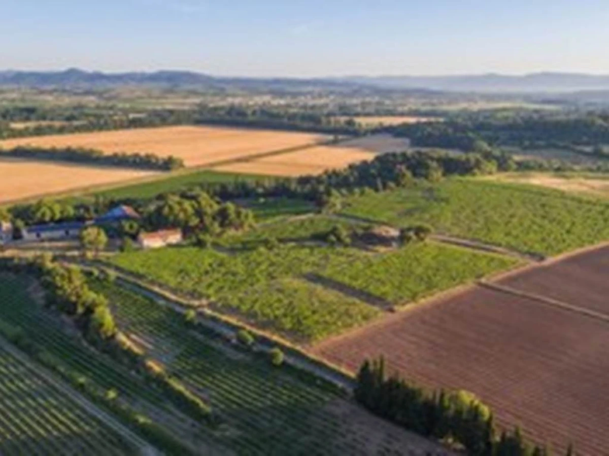 DOMAINE DE LA CONSEILLERE - Vignerons Indépendants