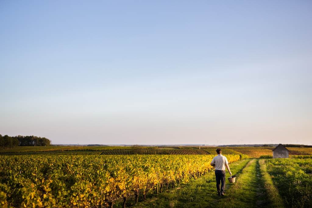 Domaine de La Pagerie - Vignerons Indépendants