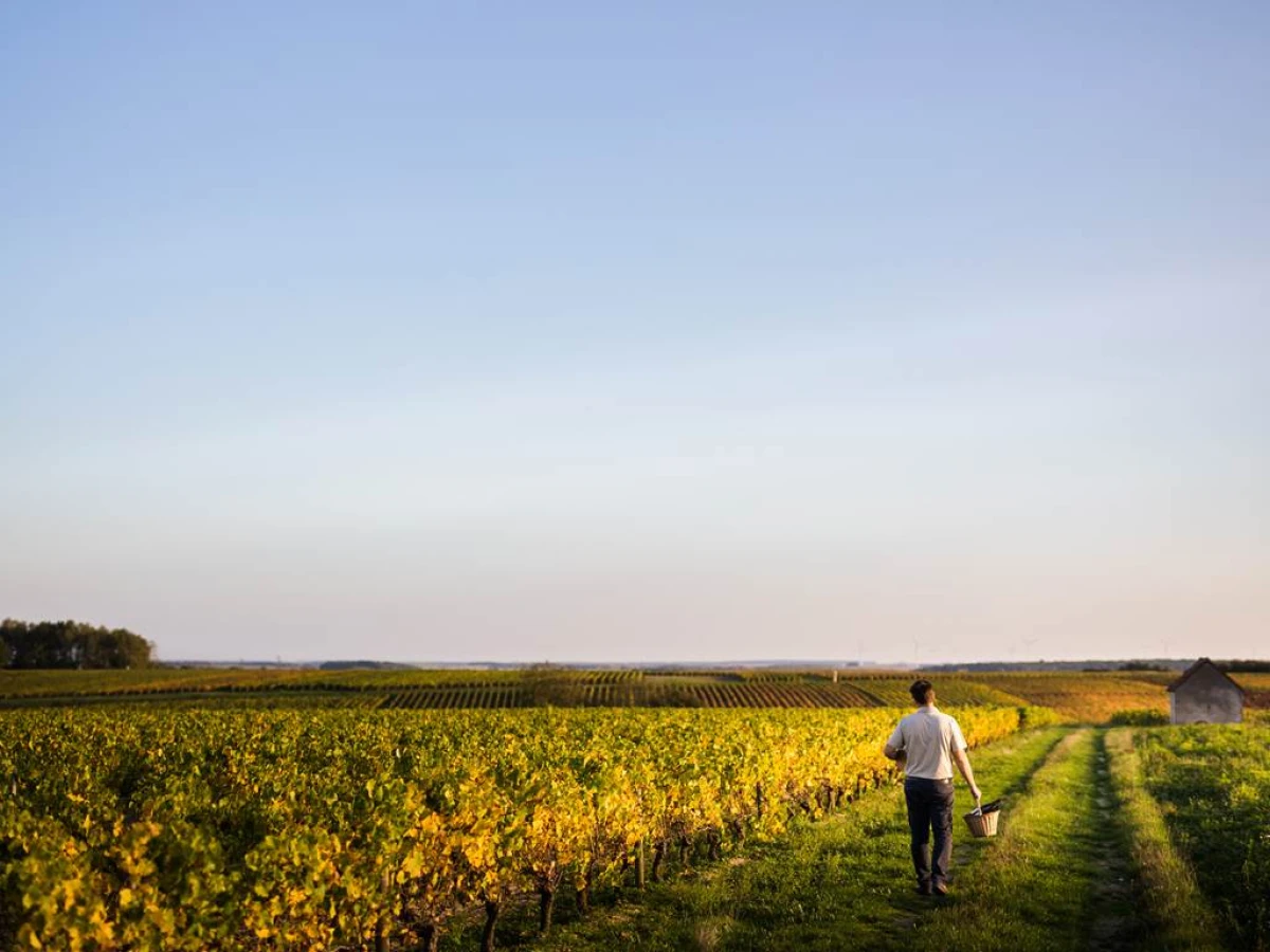 Domaine de La Pagerie - Vignerons Indépendants