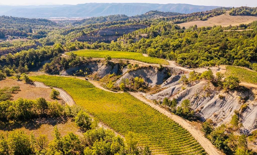 Domaine des Bergeries de Haute-Provence - Vignerons Indépendants