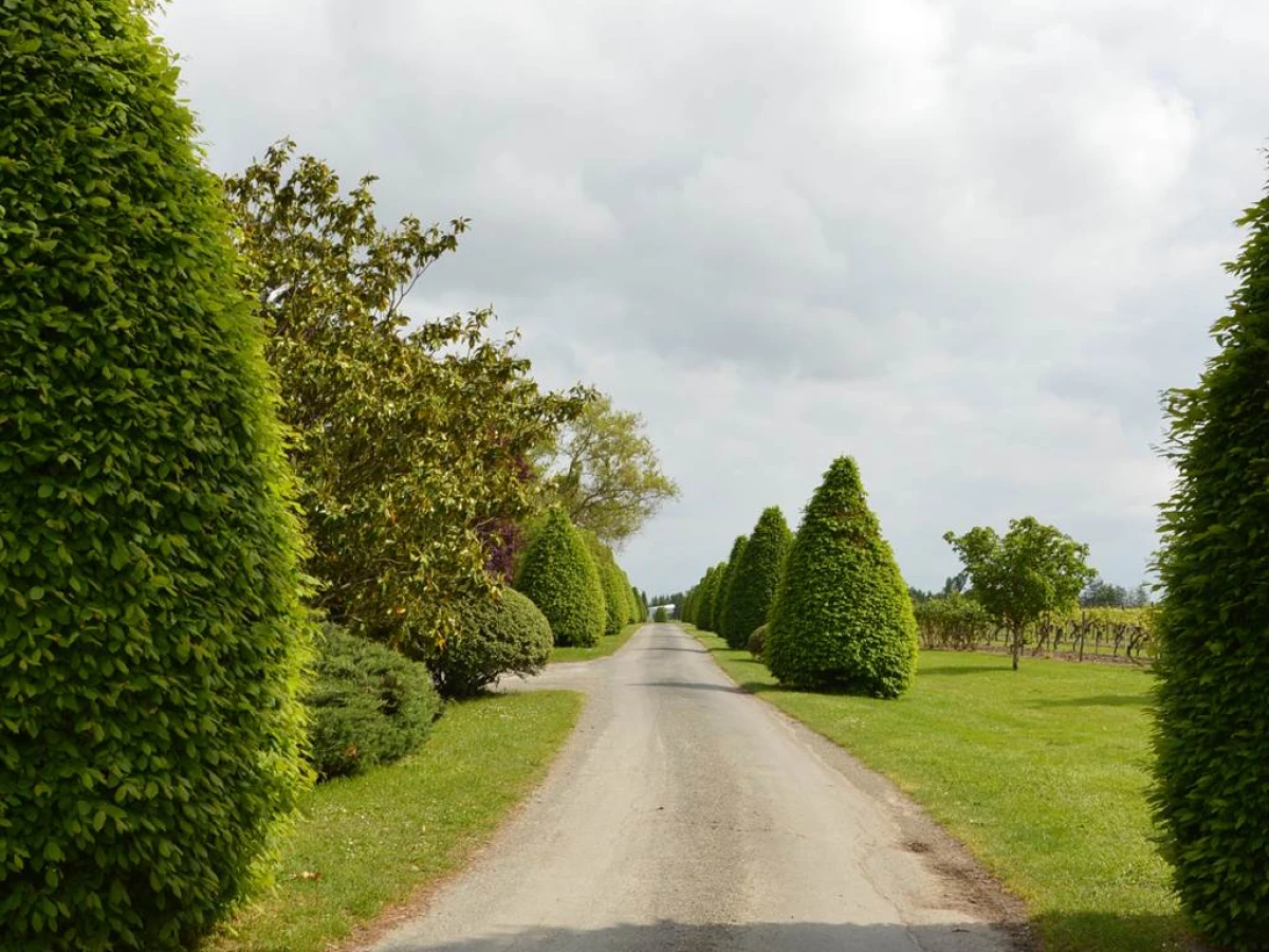DOMAINE DES BESSONS - Vignerons Indépendants