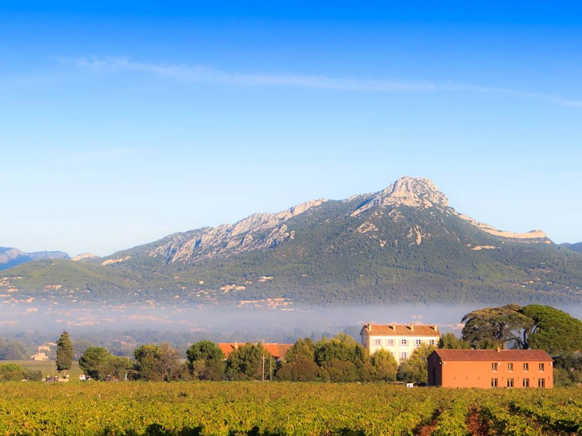 Domaine des Peirecèdes - Vignerons Indépendants