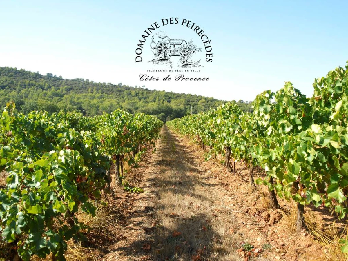 Domaine des Peirecèdes - Vignerons Indépendants