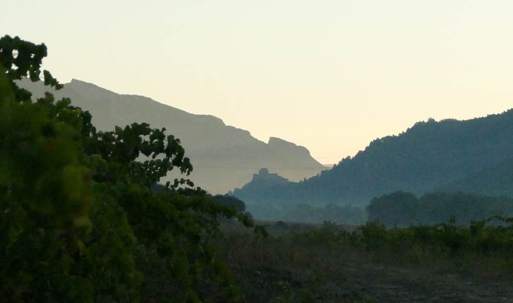 Domaine du Grand Arc - Vignerons Indépendants