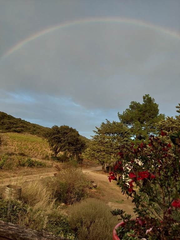Domaine du Grand Arc - Vignerons Indépendants
