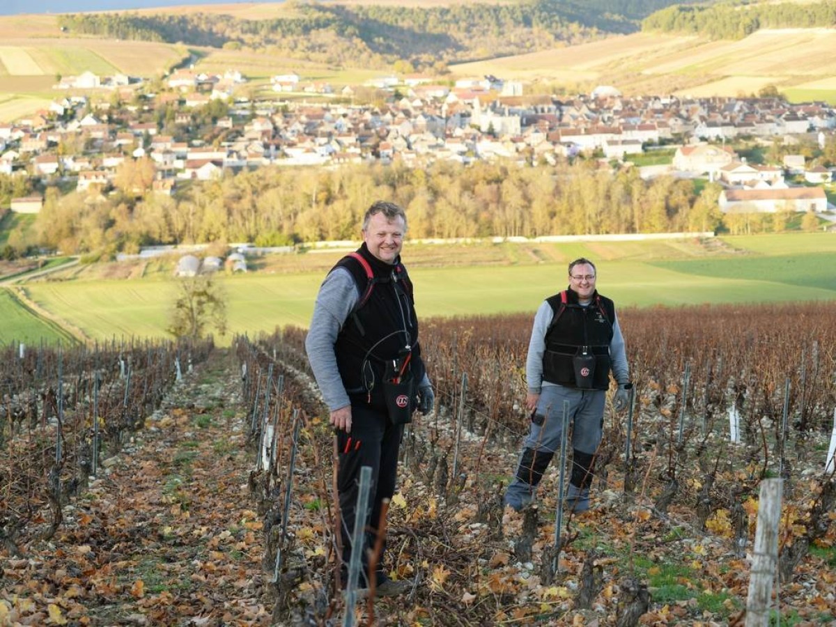 Domaine Petitjean - Vignerons Indépendants