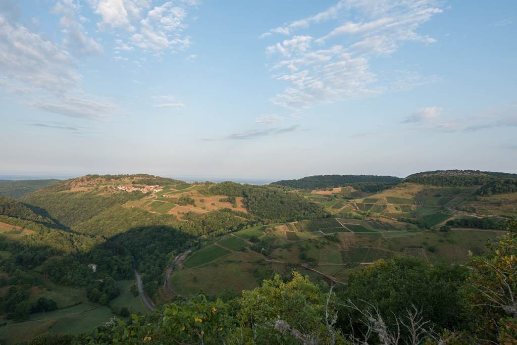 Domaine Rondeau - Vignerons Indépendants