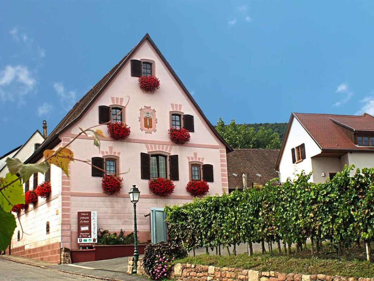 DOMAINE WECK FRANÇOIS - Vignerons Indépendants