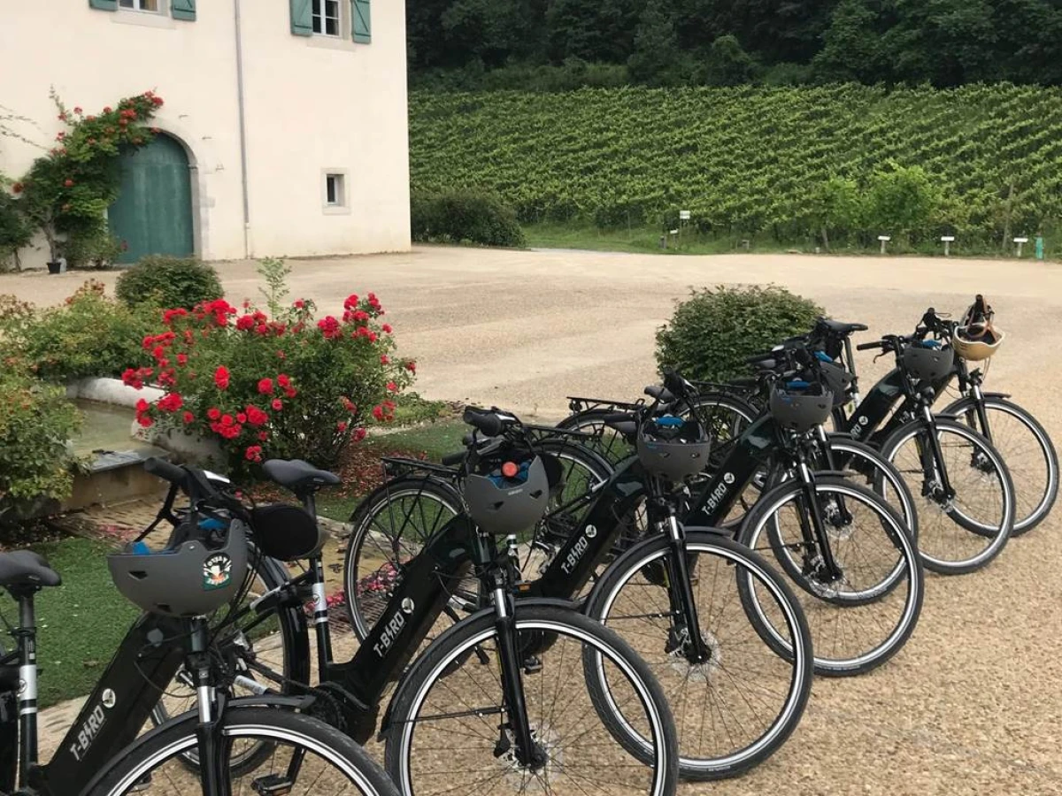 Echappée Vélo & Jurançon - Vignerons Indépendants