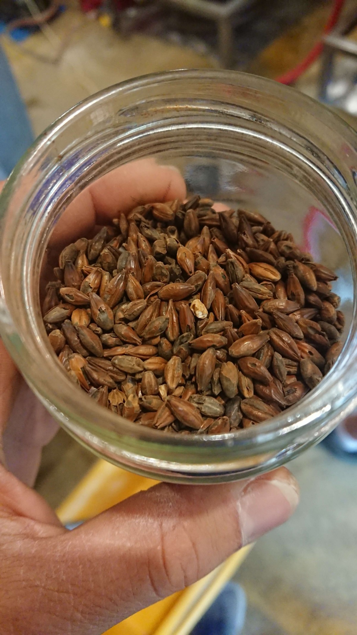 VELOublonnée Saint-Remèze - Vignerons Indépendants