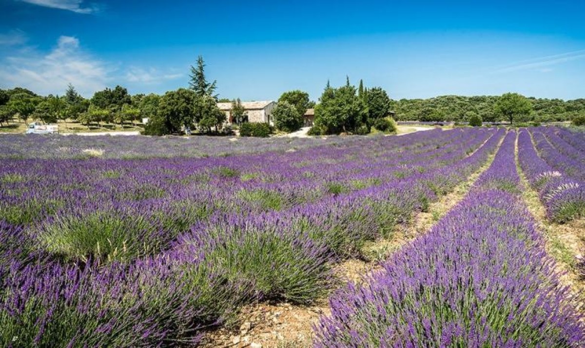 VEL'autour de la nature - Vignerons Indépendants