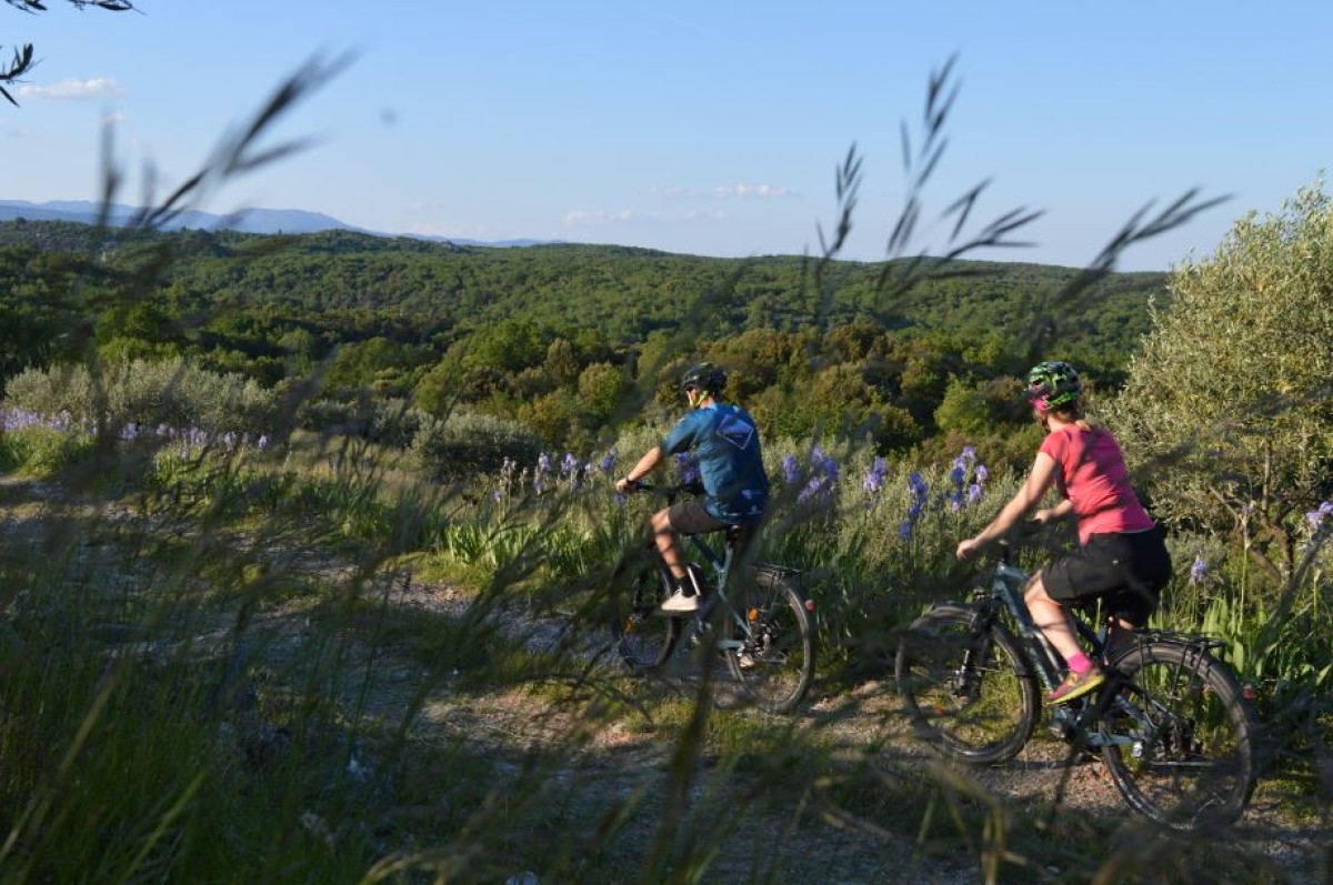 VEL'autour de la nature - Vignerons Indépendants