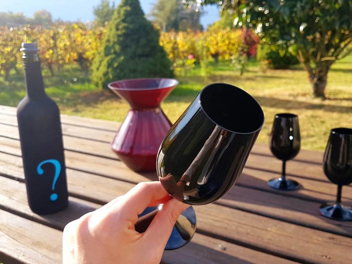 Expérience : Entre Zénitude et Plénitude - Vignerons Indépendants