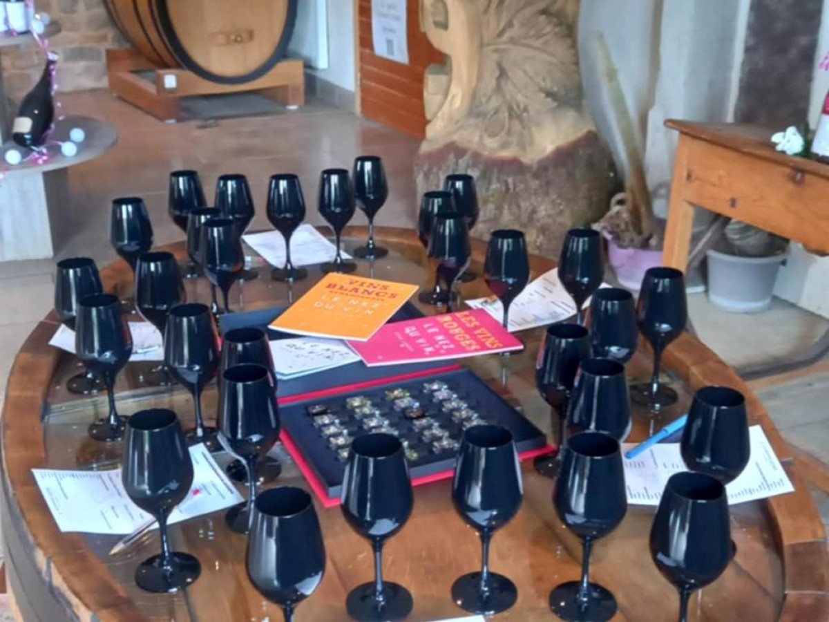 Expérience Immersive en Verres Noirs - Vignerons Indépendants