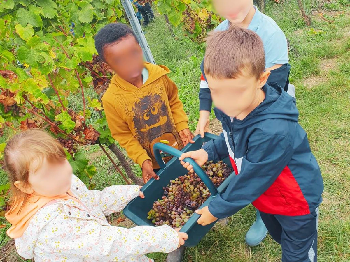 Ferme pédagogique - Vignerons Indépendants