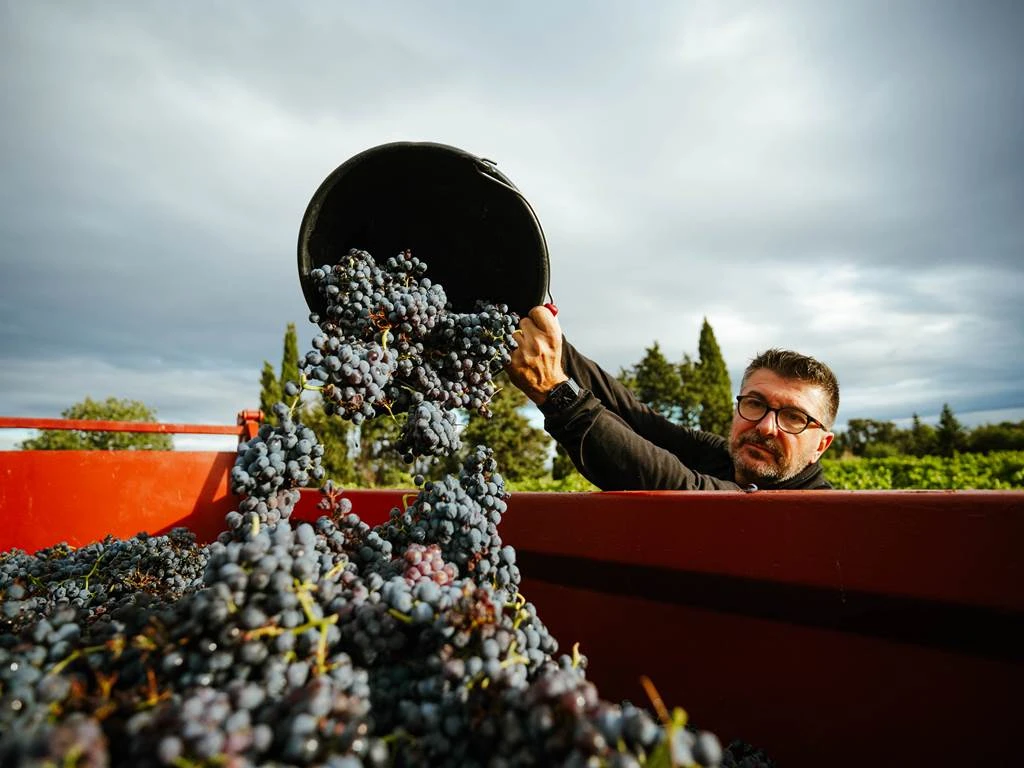 Fête des Vendanges 26/09/25 - Vignerons Indépendants
