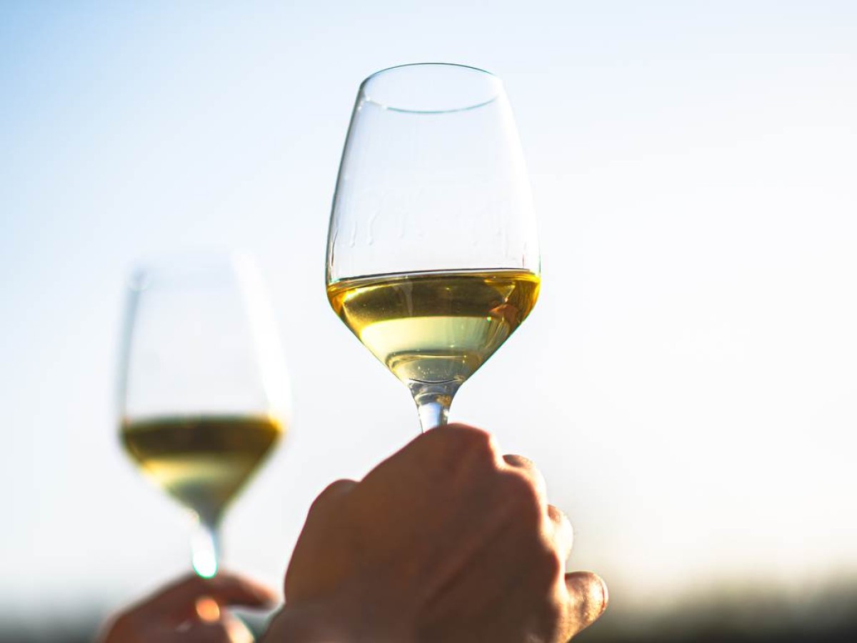 Formation "Le nez du vin" - Vignerons Indépendants