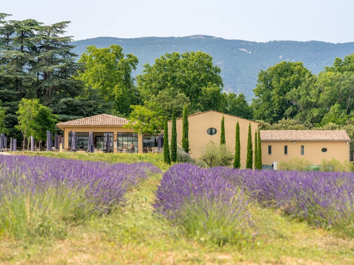 From the Vine to the Glass - Vignerons Indépendants