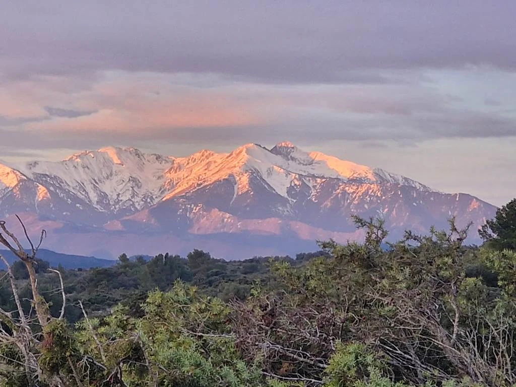 Gîtes - Pierre PELOU Vigneron - Vignerons Indépendants Gîtes - Pierre PELOU Vigneron - Vignerons Indépendants