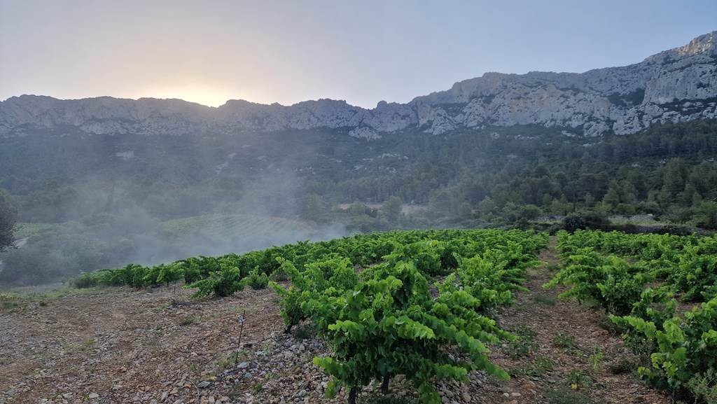 Gîtes - Pierre PELOU Vigneron - Vignerons Indépendants