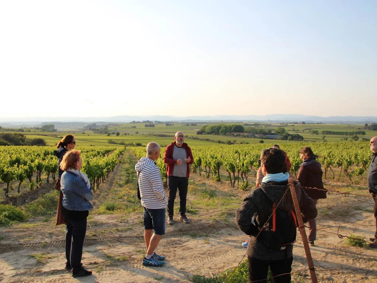 Golden Hour au Domaine - Vignerons Indépendants