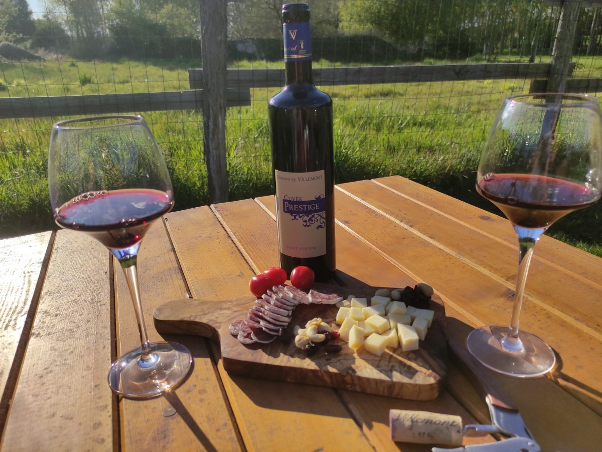 Visite guidée du Domaine (vignes et chais) + dégustation commentée 5 vins+ petit assortiment pain, fromage et saucisson- durée 1h env. - Vignerons Indépendants