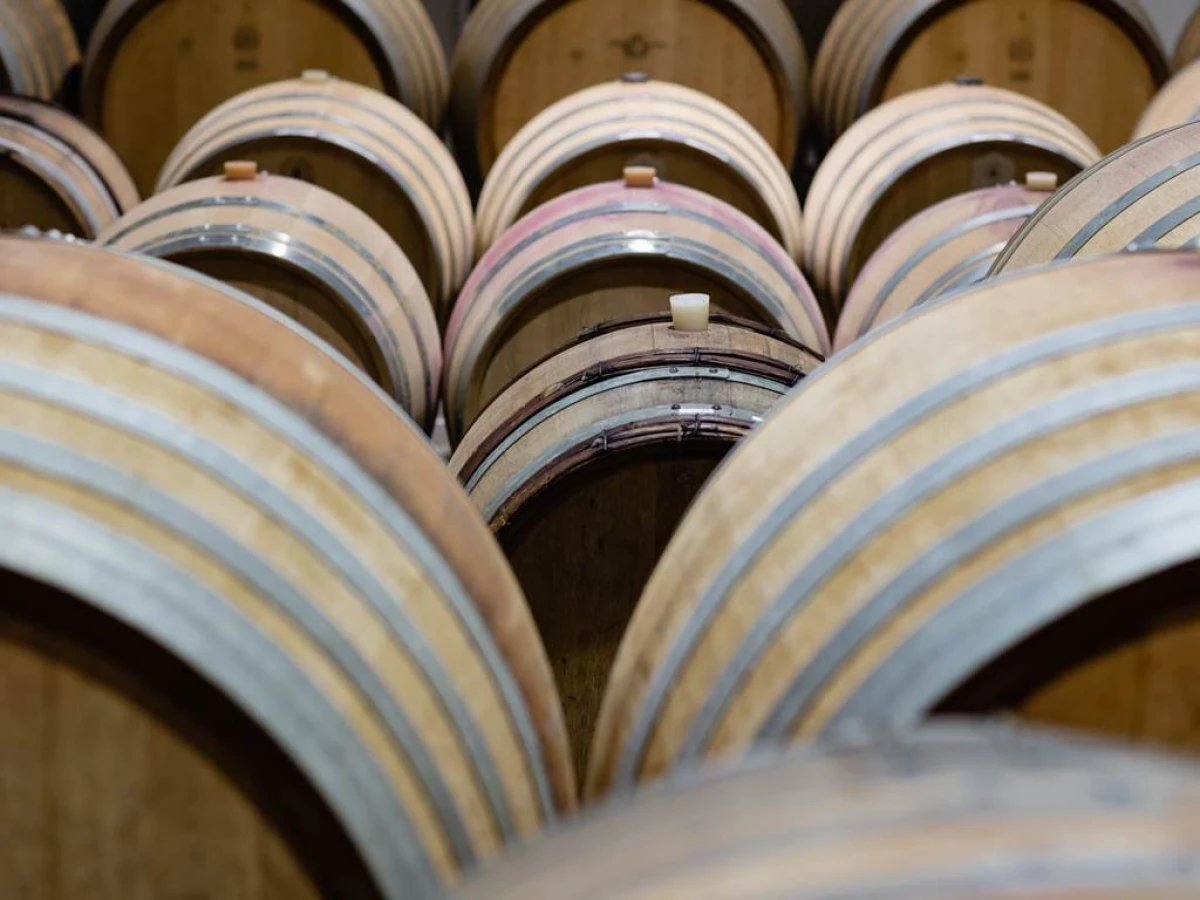 Immersion dans l’univers du vigneron - Vignerons Indépendants