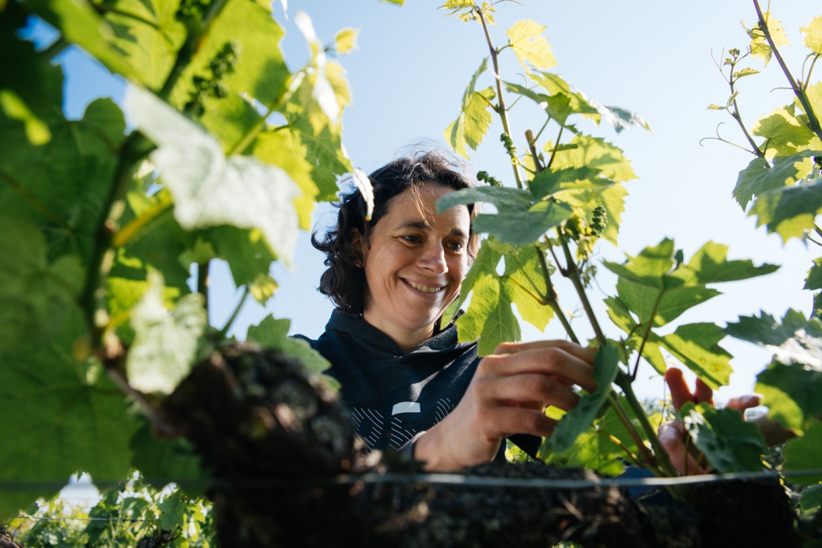 Immersion Vigneronne, entre Terroirs et Cépages - Vignerons Indépendants