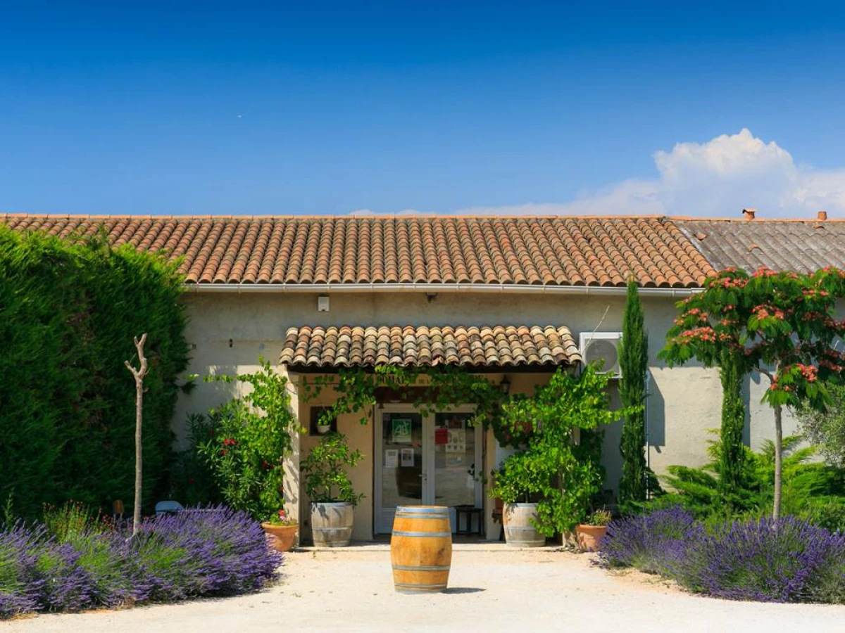 Jeudi "La Cadenière en Terrasse" - Vignerons Indépendants