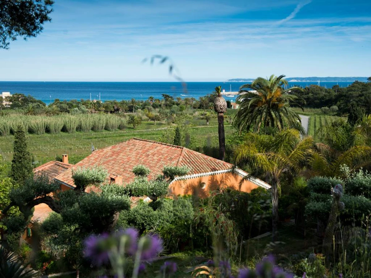 L'Apero Après-PLage - Vignerons Indépendants