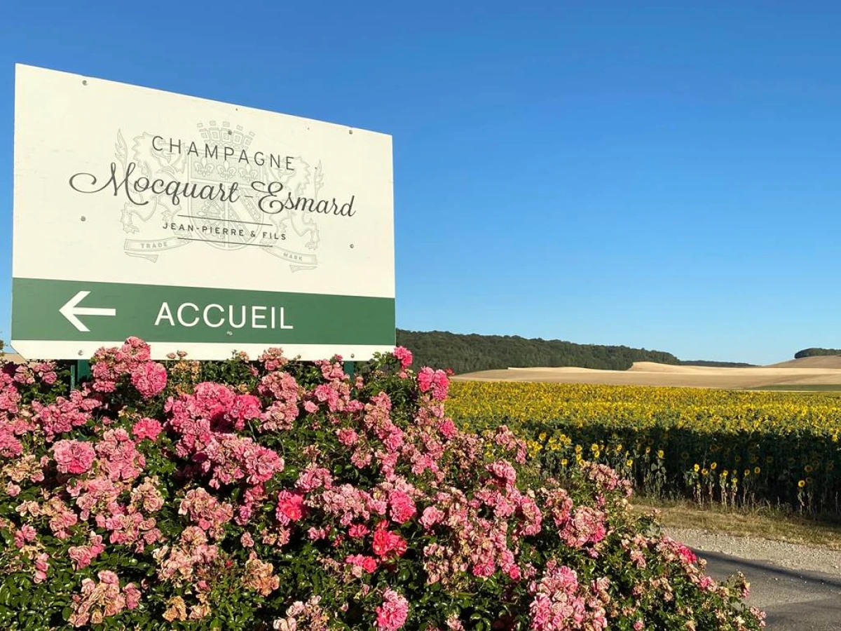 L'Aventurine - Vignerons Indépendants